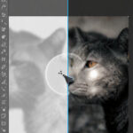 Fixing the “Harmonize” Resolution Bug: How to Restore Detail After Using AI Layer Blending in Photoshop