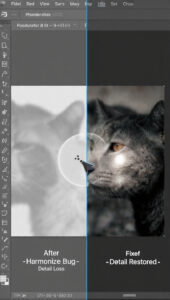 Fixing the "Harmonize" Resolution Bug: How to Restore Detail After Using AI Layer Blending in Photoshop
